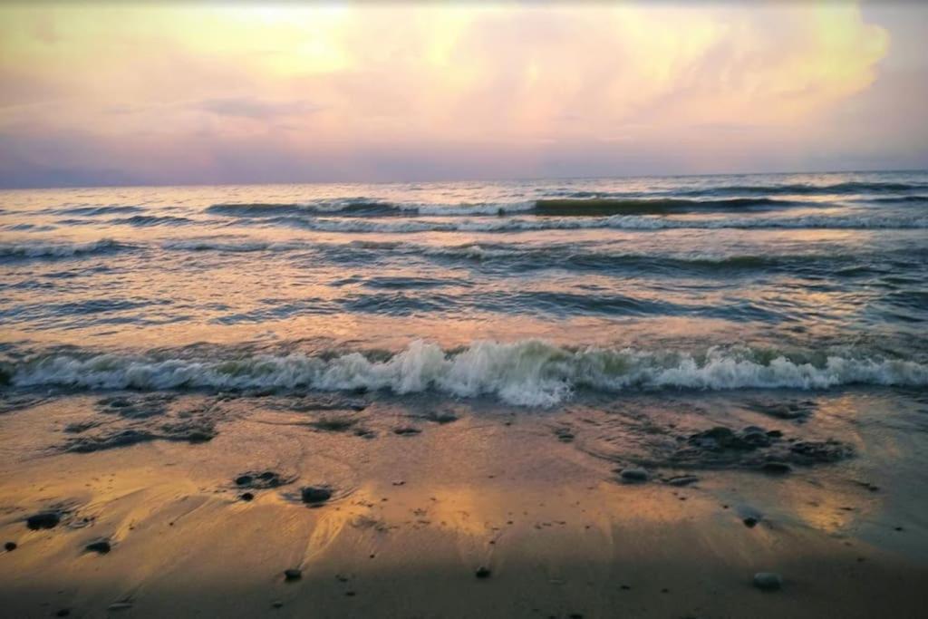 Elegant Rooms In Shared Townhouse Next To Beach Whitby Zewnętrze zdjęcie